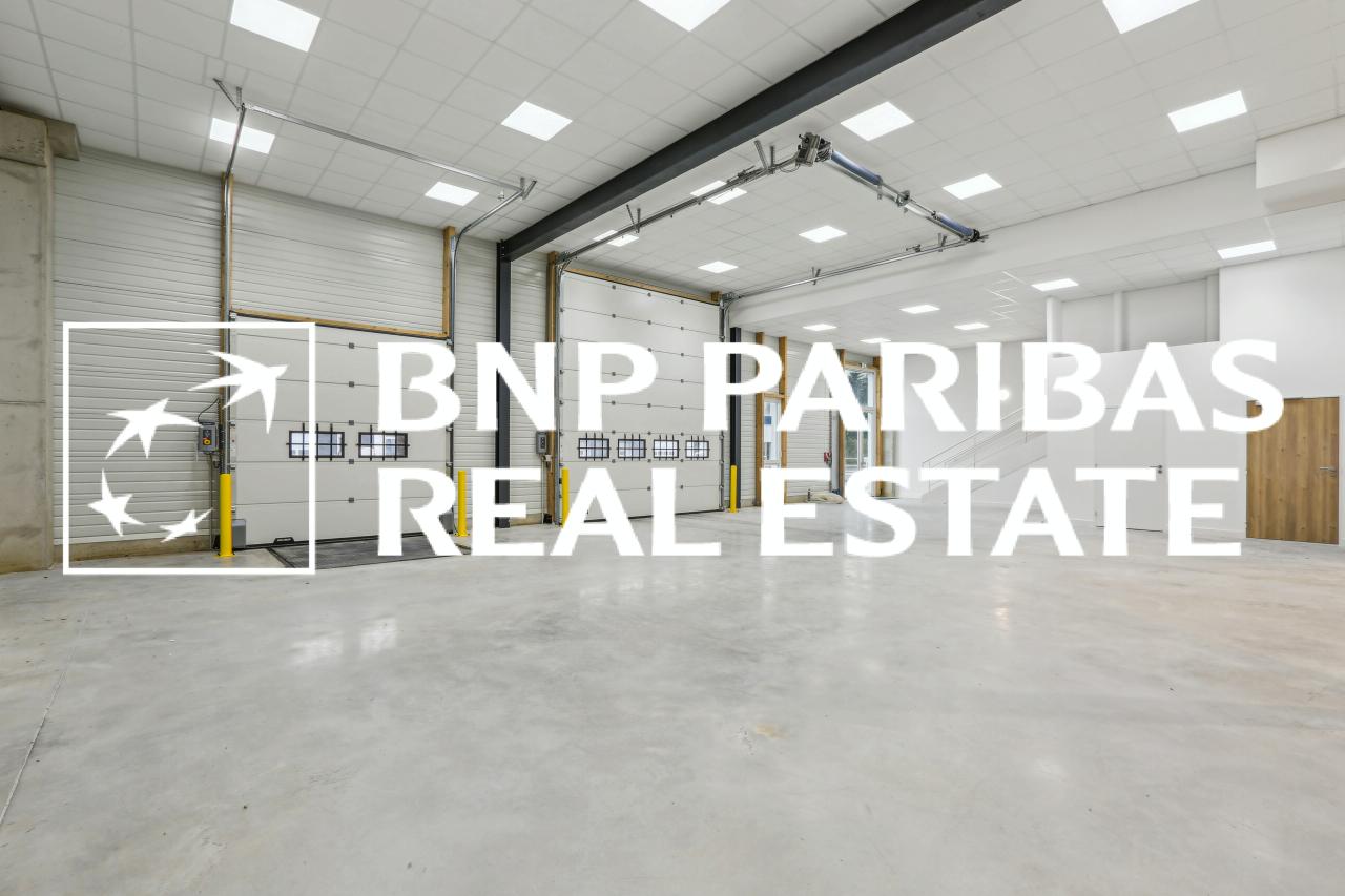 Local d'activité Moissy-Cramayel 2962m² Location local d'activité Moissy-Cramayel Seine-et-Marne OLACT2201100 7